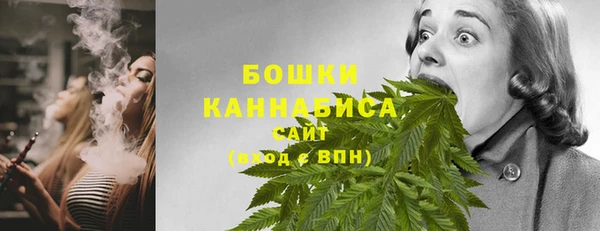 гашик Богородск