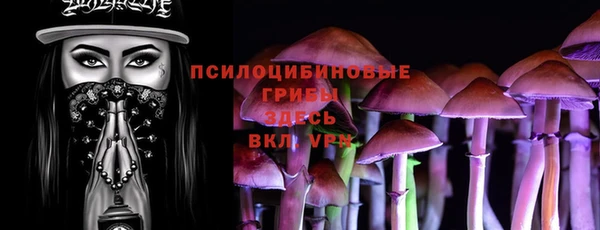 бошки Богородицк