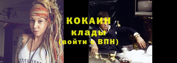 гашик Богородск