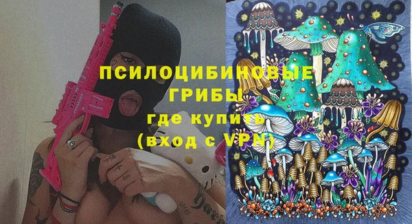 гашик Богородск
