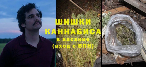дживик Богданович